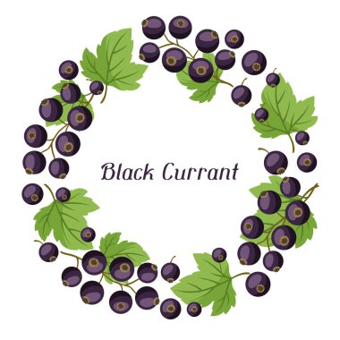 Doğa arka plan tasarımı ile stilize taze siyah kuş üzümü.