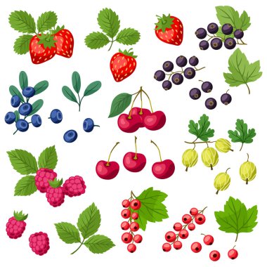 Çeşitli stilize edilmiş olgun taze meyveler..