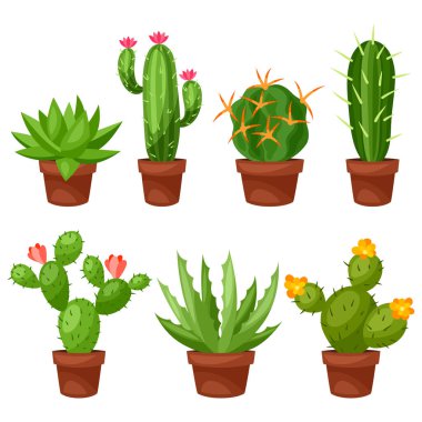 Saksıda soyut kaktüslerin toplanması.