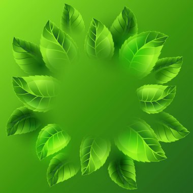 Bahar illüstrasyon yeşil yaprakları ile. Kart paketleme, tebrik kartları ve reklam için çiçek tasarım şablonu veya ekoloji kavramı. 