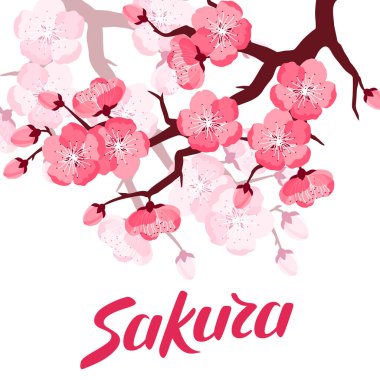Japon sakura arka planında stilize çiçekler. Tatil davetiyeleri, tebrik kartları, posterler için resim.