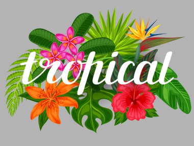 Tarzlı tropik bitkiler, yapraklar ve çiçeklerle donatılmış bir arka plan. Reklam broşürleri, pankartlar, yüzücüler, kartlar, tekstil baskıları için resim.