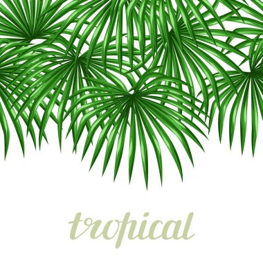 Seamless pattern with palms leaves. Decorative image tropical leaf of palm tree Livistona Rotundifolia. Background made without clipping mask. Easy to use for backdrop, textile, wrapping paper. clipart