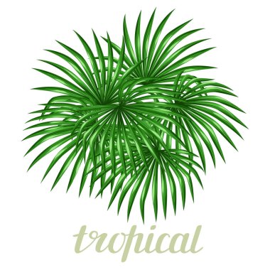 Paradise card with palms leaves. Design for advertising booklets, banners, greeting cards and flayers. clipart