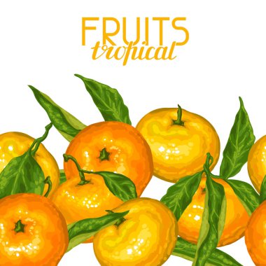 Mandalina ile Seamless modeli. Tropikal meyve ve yaprakları.