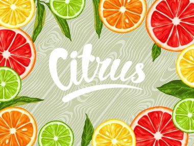 Narenciye meyve dilimleri ile arka plan. Limon limon greyfurt ve portakal karışımı.