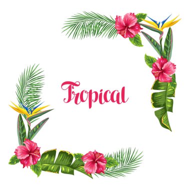 Tropikal yaprak ve çiçek çerçeveli. Avuç içi dalları, cennet kuşu çiçeği, ebegümeci.
