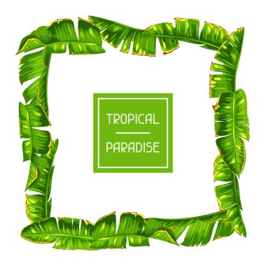 Çerçeve ile muz palmiye yaprakları. Dekoratif tropikal bitki örtüsü.