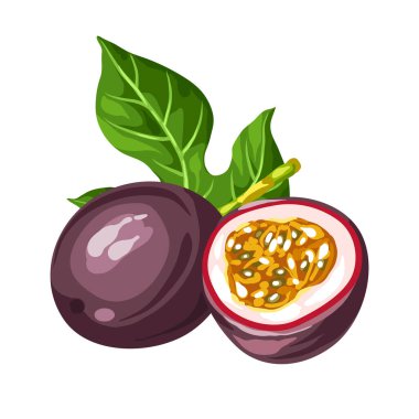 Passion fruit beyaz arka plan üzerinde izole. Tropikal bitki çizimi.