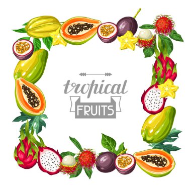 Çerçeve egzotik tropik meyve ile. Asya bitki çizimi.