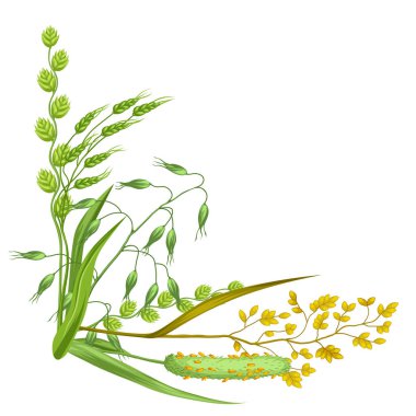 Otlar ve tahıl çim ile köşe. Çayır bitkilerin çiçek tasarım.