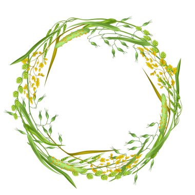 Çelenk otlar ve tahıl çim ile. Çayır bitkilerin çiçek tasarım.