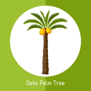 Hurma ağacı. Egzotik tropik bitki çizimi.