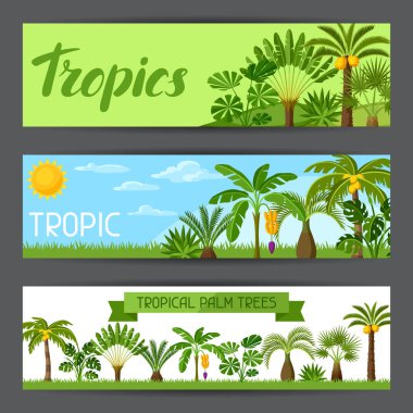 Afiş tropikal palmiye ağaçları ile. Egzotik tropik bitkiler orman doğa illüstrasyon.
