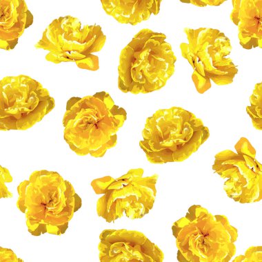 Kabarık sarı laleler ile Seamless modeli. Güzel gerçekçi çiçekler ve tomurcukları.