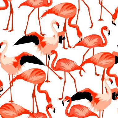 Flamingo ile Seamless modeli. Tropikal parlak soyut kuşlar.