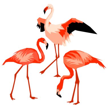 Flamingo kümesi. Tropikal parlak soyut kuşlar.