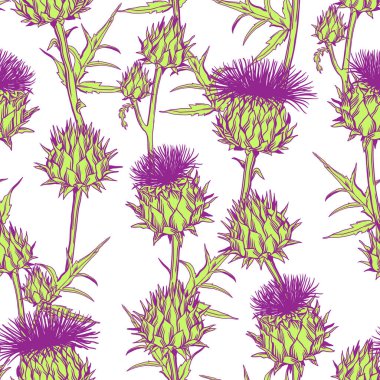 Seamless pattern with onopordum acanthium. Scottish thistle. clipart