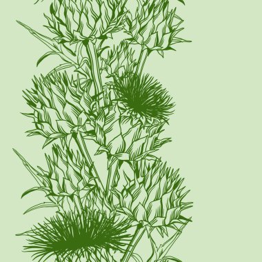 Seamless pattern with onopordum acanthium. Scottish thistle. clipart