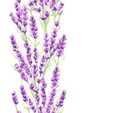 Lavanta çiçekleri seamless modeli. Provence otlar suluboya doğal illüstrasyon.