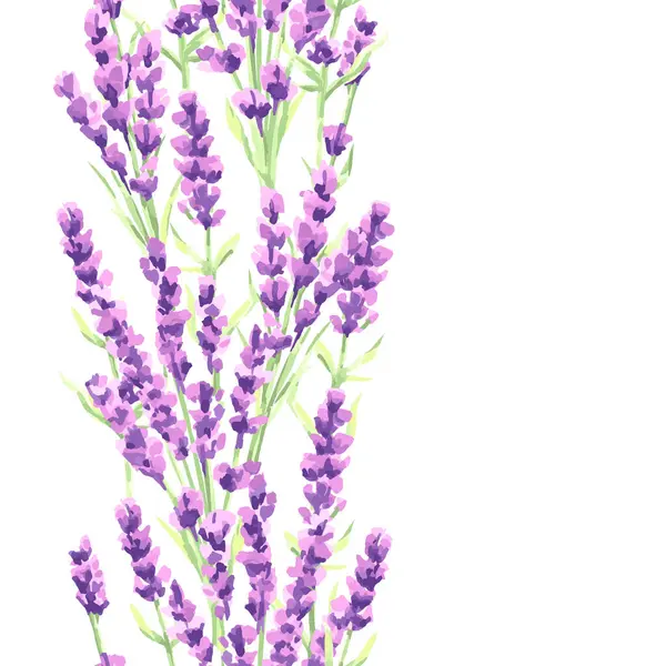 Lavanta çiçekleri seamless modeli. Provence otlar suluboya doğal illüstrasyon.