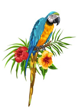 Amerika papağanı papağan Illustration. Tropikal egzotik kuş, palmiye yaprakları ve hibiscus çiçek.