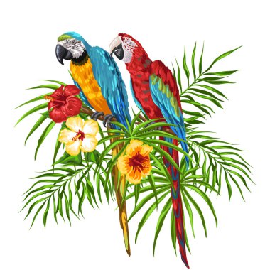 Amerika papağanı papağan Illustration. Tropikal egzotik kuş, palmiye yaprakları ve hibiscus çiçek.