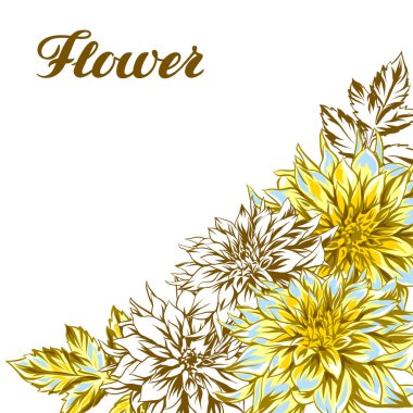 Arka plan ile kabarık sarı dahlias. Güzel dekoratif çiçekler, yapraklar ve tomurcukları.