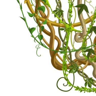 Vahşi yaklaşık dalları arka plan bükülmüş. Orman üzüm bitkiler. Odunsu doğal tropikal yağmur ormanları.