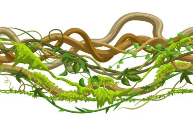 Bükülmüş vahşi yaklaşık seamless modeli. Orman üzüm bitkiler. Odunsu doğal tropikal yağmur ormanları.