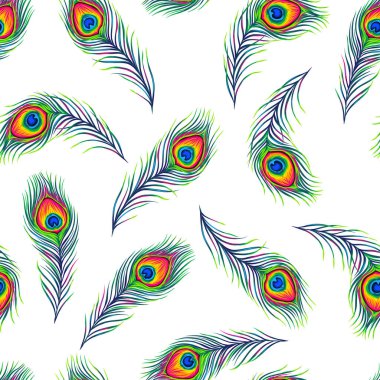 Tavus kuşu tüyleri seamless modeli. Egzotik kuş tüyleri renk el çekilmiş.