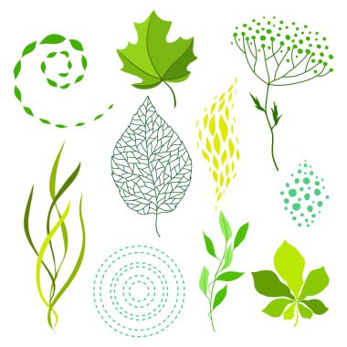 Çeşitli kümesi yeşil yaprakları ve öğeleri stilize. Doğa illüstrasyon.