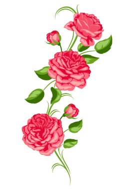 Kırmızı güller ile dekoratif unsur. Güzel çiçekler, tomurcuklar ve yapraklar.