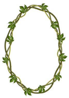 Vahşi yaklaşık dalları çerçeve bükülmüş. Orman üzüm bitkiler. Odunsu doğal tropikal yağmur ormanları.