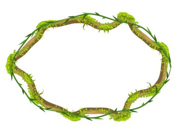 Vahşi yaklaşık dalları çerçeve bükülmüş. Orman üzüm bitkiler. Odunsu doğal tropikal yağmur ormanları.