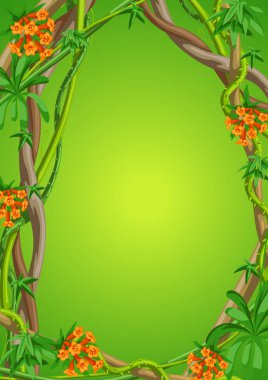 Vahşi yaklaşık dalları çerçeve bükülmüş. Orman üzüm bitkiler. Odunsu doğal tropikal yağmur ormanları.