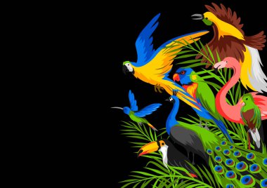 Background with tropical exotic birds. Wild fauna of jungle and rainforest. clipart