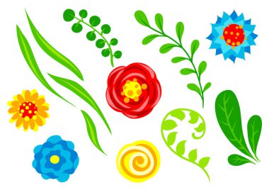 Yaz çiçekleri seti. Güzel dekoratif doğal bitkiler, tomurcukları ve yaprakları.