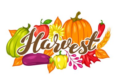 Meyve ve sebzelerle hasat festivali arka planı. Sonbahar mevsimsel illüstrasyon.