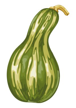 Sonbahar olgun kabak illustrastion. Hasat simgesi.