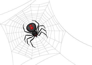 Siyah dul örümcek ile arka plan. Halloween tatil için banner.