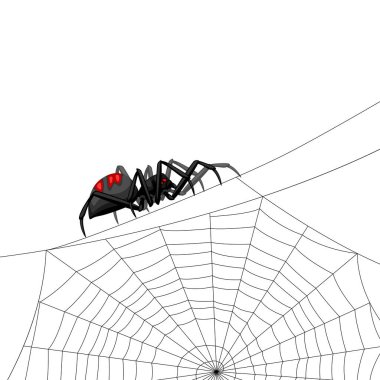 Siyah dul örümcek ile arka plan. Halloween tatil için banner.