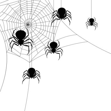 Kara dul örümcekleri ile arka plan. Cadılar Bayramı tatili için Banner.