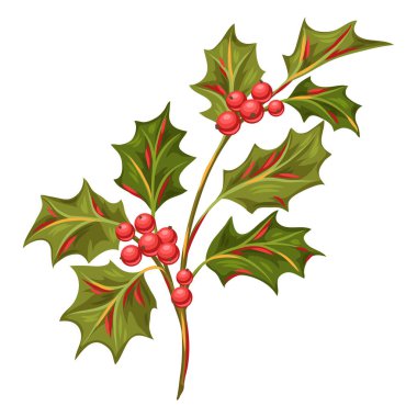Çilek ile holly şube İllüstrasyon. Retro tarzda stilize el çizilmiş görüntü.