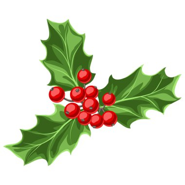 Çilek ile holly şube İllüstrasyon. Retro tarzda stilize el çizilmiş görüntü.