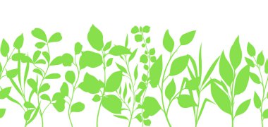 Yeşil yapraklı, pürüzsüz filiz deseni. Dekoratif doğal bitkiler.