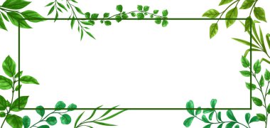 Yeşil yapraklı filiz çerçevesi. Dekoratif doğal bitkiler.