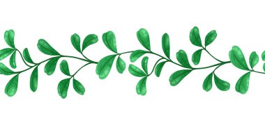 Liana kusursuz desen. Yeşil yapraklı orman sarmaşıkları. Woody doğal tropikal yağmur ormanı.