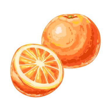 Olgun portakal ve dilimin resmi. Dekoratif bir yaz meyvesi.