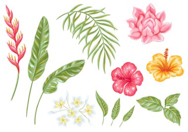 Tropik çiçek ve yapraklar. Dekoratif egzotik yapraklar, palmiyeler ve bitkiler.